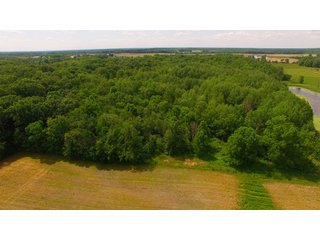 Noble County, Indiana farmland - REAL ESTATE AUCTION - 70+/- ACRES OFFERED IN 3 TRACTS IN NOBLE COUNTY, INDIANA